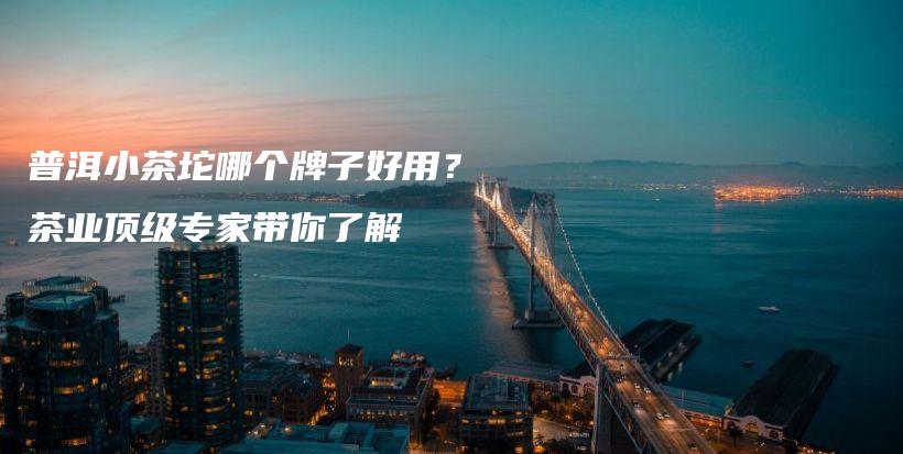 普洱小茶坨哪个牌子好用？茶业顶级专家带你了解插图
