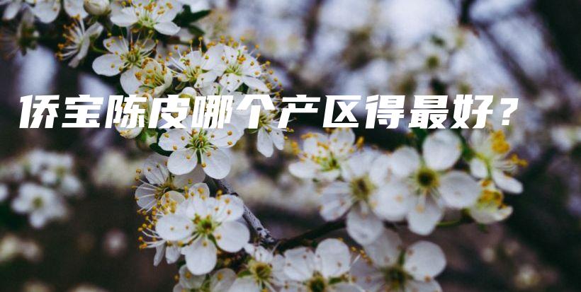 侨宝陈皮哪个产区得最好?插图 侨宝陈皮哪个产区得最好?插图