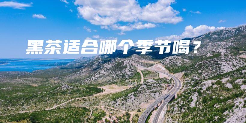 黑茶适合哪个季节喝？插图