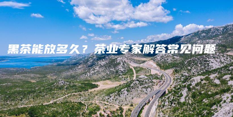 黑茶能放多久?茶业专家解答常见问题插图 黑茶能放多久?茶业专家解答常见问题插图