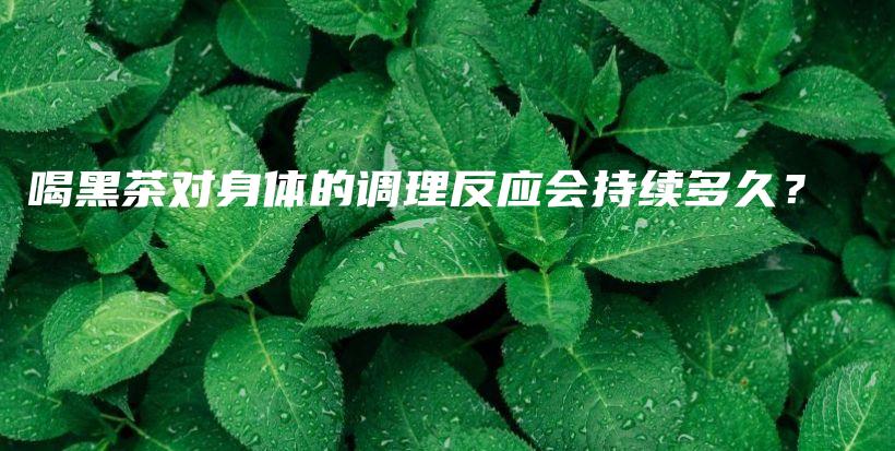 喝黑茶对身体的调理反应会持续多久?插图 喝黑茶对身体的调理反应会持续多久?插图