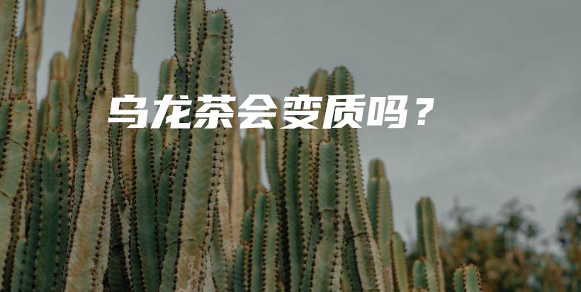乌龙茶会变质吗?插图 乌龙茶会变质吗?插图