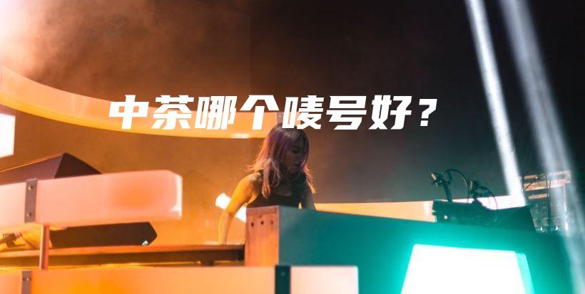 中茶哪个唛号好？插图