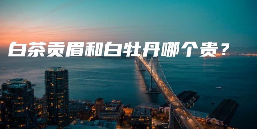 白茶贡眉和白牡丹哪个贵？插图