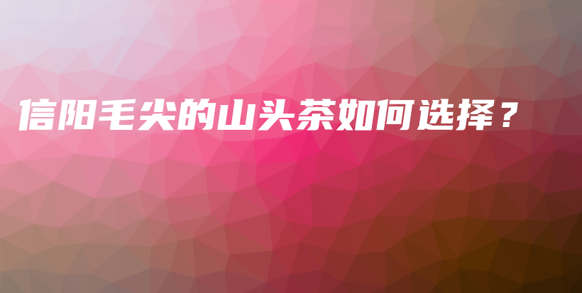 信阳毛尖的山头茶如何选择？插图