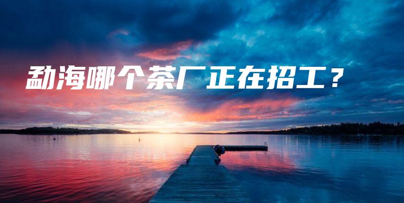 勐海哪个茶厂正在招工？插图
