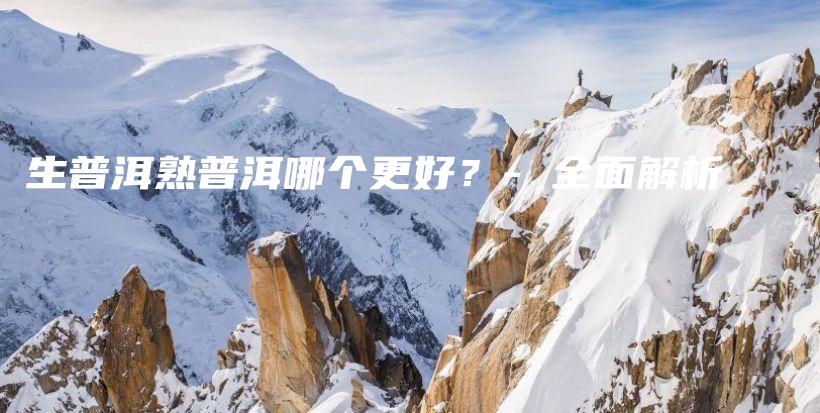 生普洱熟普洱哪个更好？- 全面解析插图