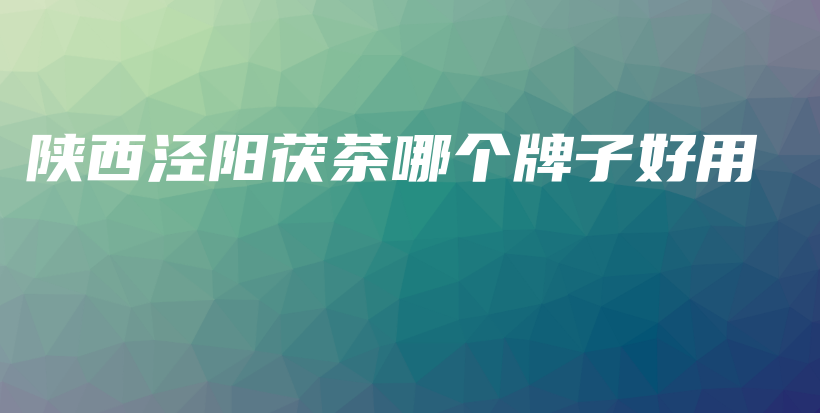 陕西泾阳茯茶哪个牌子好用插图