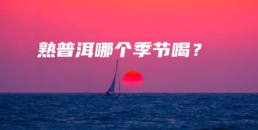 熟普洱哪个季节喝？插图