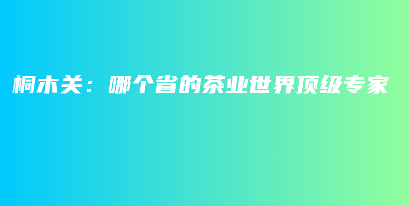 桐木关：哪个省的茶业世界顶级专家插图