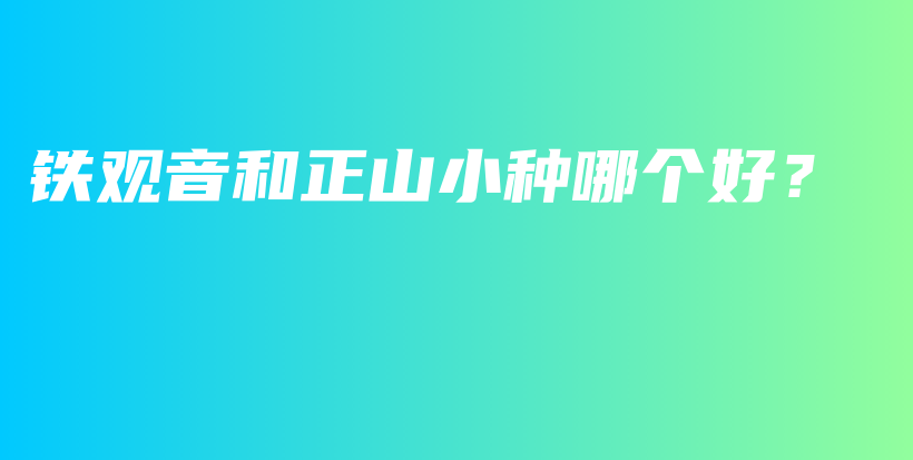 铁观音和正山小种哪个好？插图