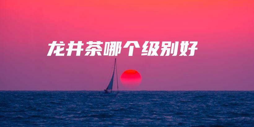 龙井茶哪个级别好插图