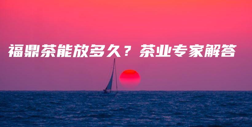 福鼎茶能放多久?茶业专家解答插图 福鼎茶能放多久?茶业专家解答插图