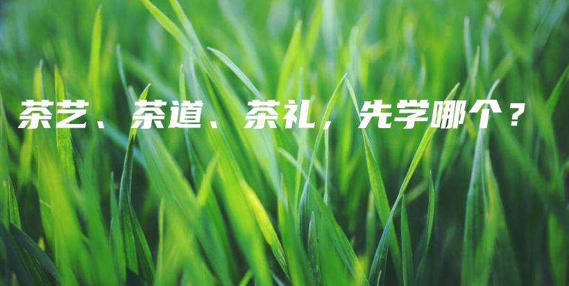 茶艺、茶道、茶礼，先学哪个？插图