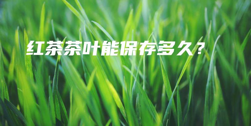 红茶茶叶能保存多久?插图 红茶茶叶能保存多久?插图