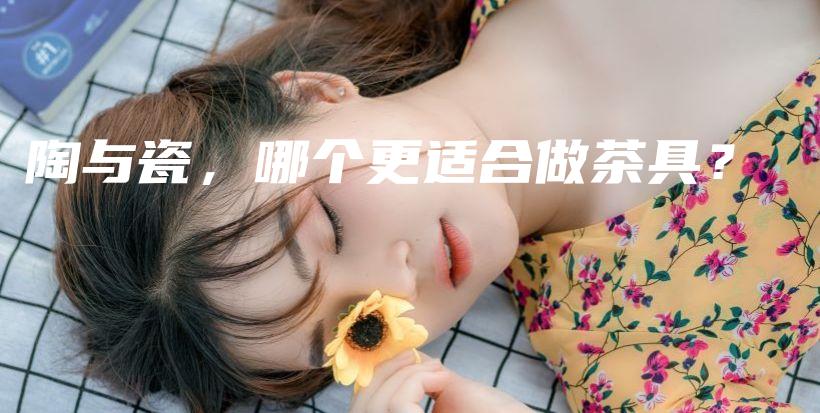 陶与瓷，哪个更适合做茶具？插图