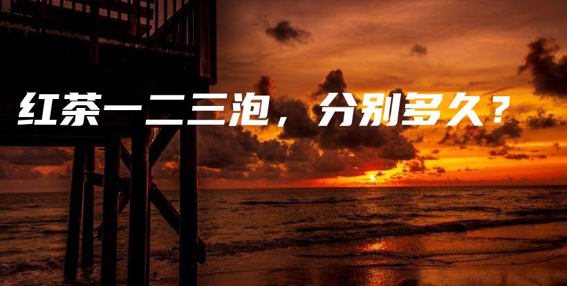红茶一二三泡，分别多久？插图