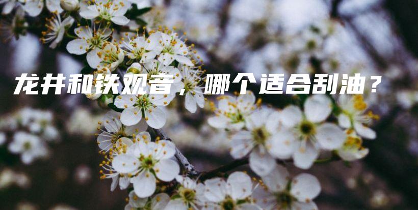 龙井和铁观音，哪个适合刮油？插图