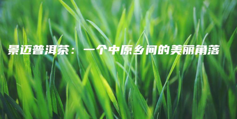 景迈普洱茶:一个中原乡间的美丽角落插图 景迈普洱茶:一个中原乡间的美丽角落插图