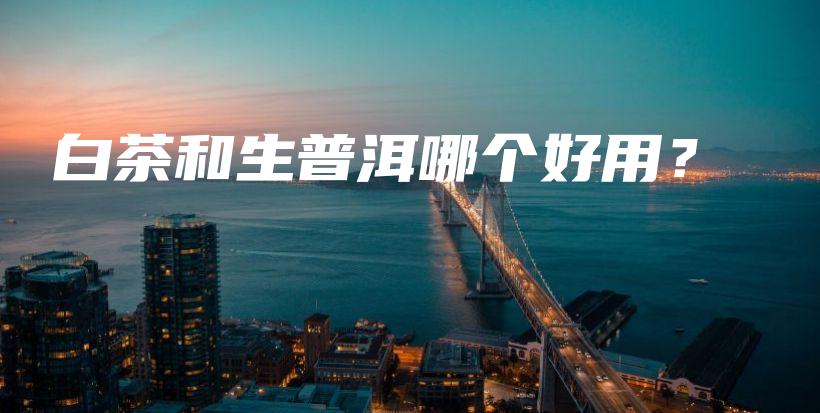 白茶和生普洱哪个好用?插图 白茶和生普洱哪个好用?插图