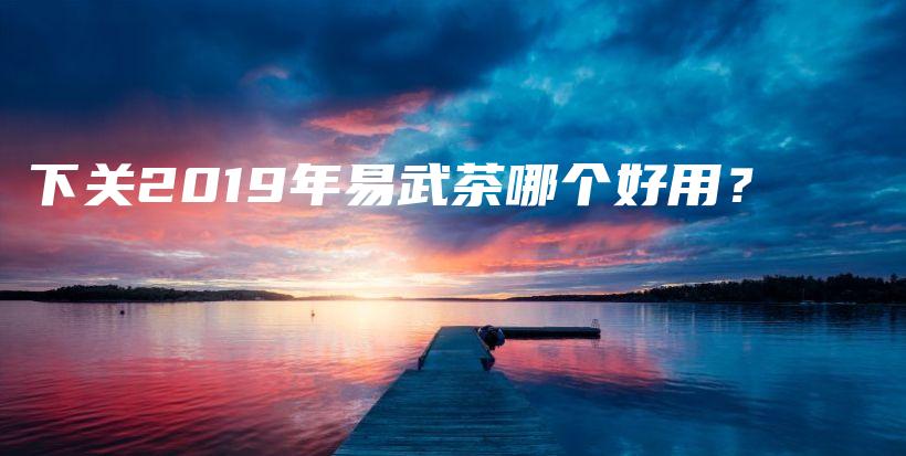 下关2019年易武茶哪个好用？插图