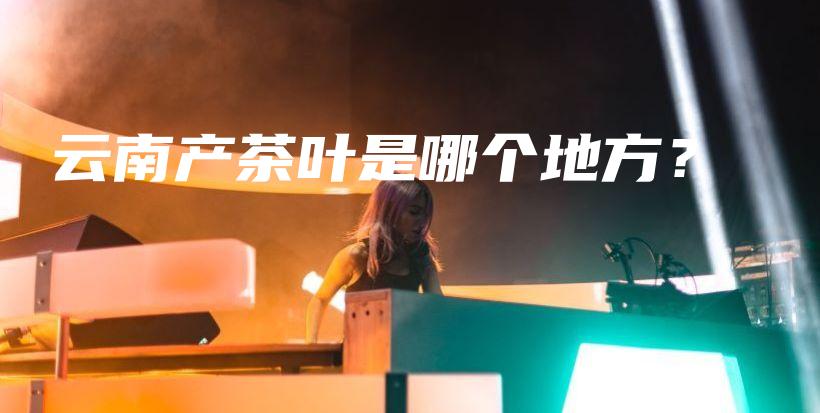 云南产茶叶是哪个地方？插图