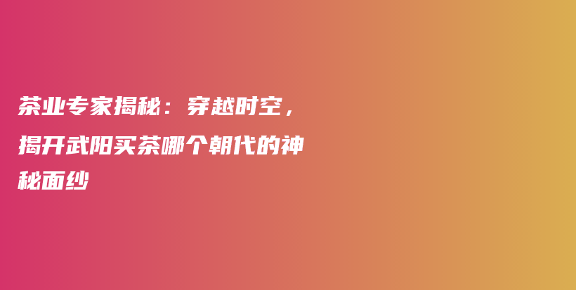 茶业专家揭秘：穿越时空，揭开武阳买茶哪个朝代的神秘面纱插图