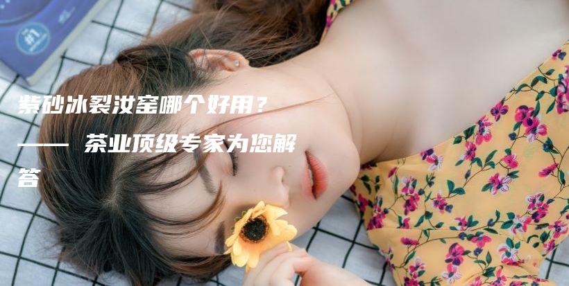 紫砂冰裂汝窑哪个好用？ —— 茶业顶级专家为您解答插图