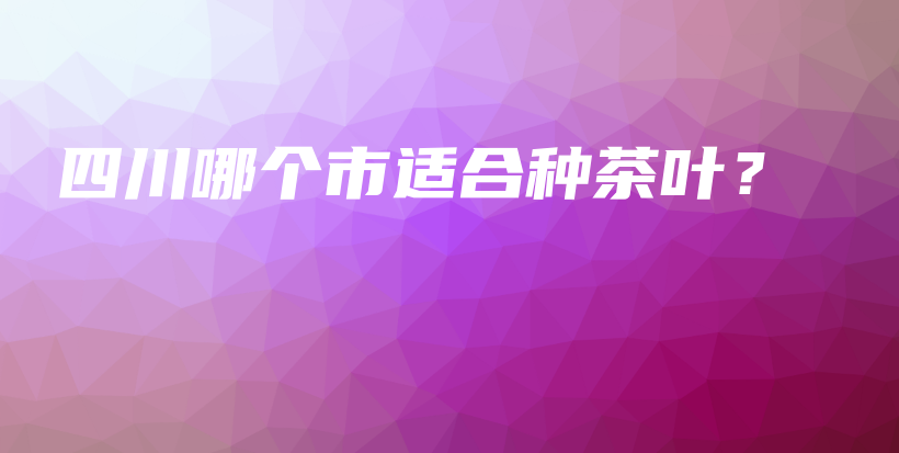 四川哪个市适合种茶叶？插图
