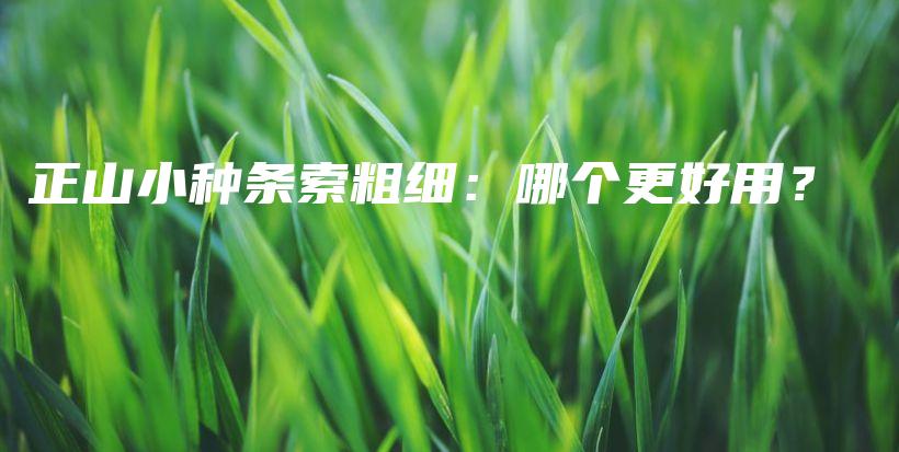 正山小种条索粗细：哪个更好用？插图