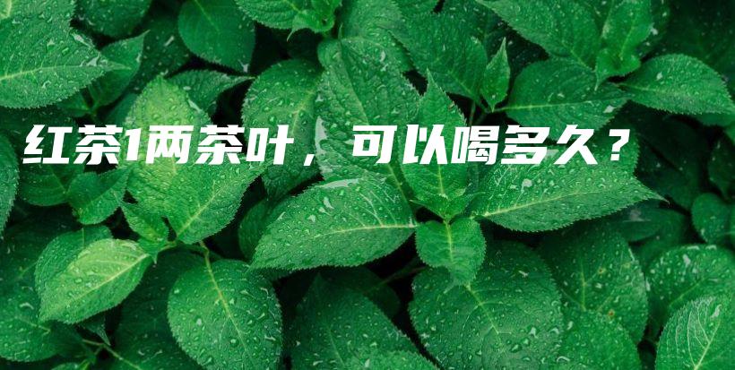 红茶1两茶叶，可以喝多久？插图