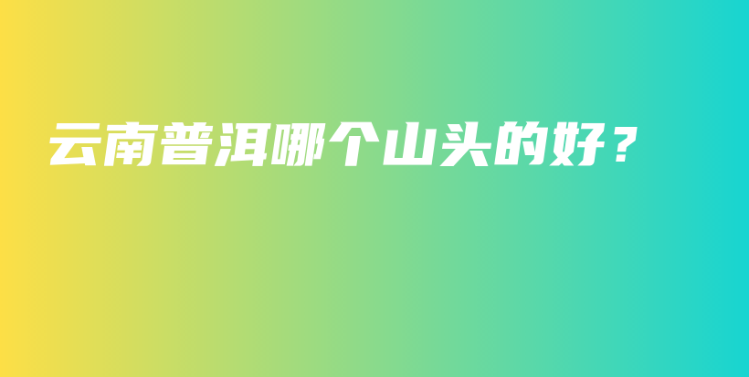 云南普洱哪个山头的好？插图
