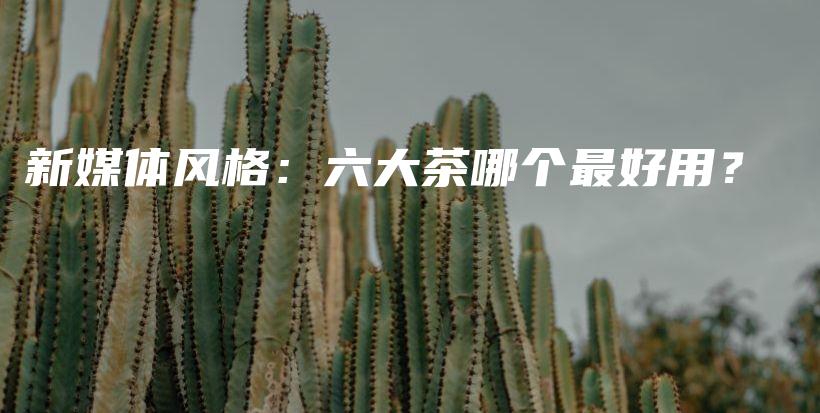 新媒体风格:六大茶哪个最好用?插图 新媒体风格:六大茶哪个最好用?插图