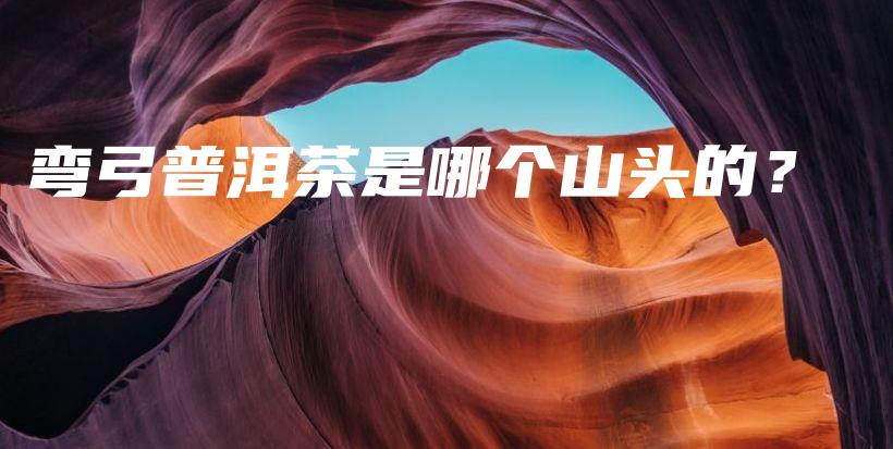 弯弓普洱茶是哪个山头的？插图