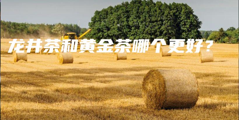 龙井茶和黄金茶哪个更好？插图