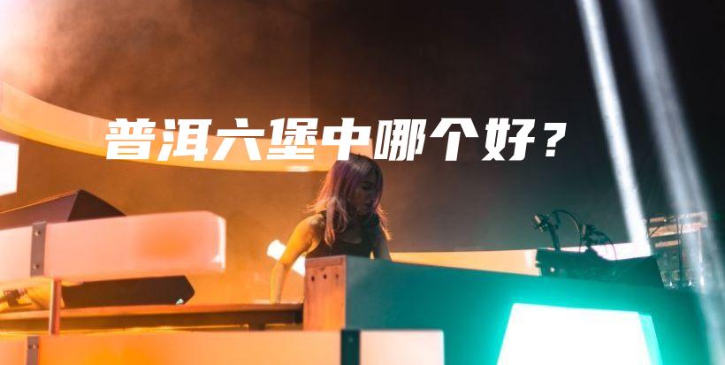 普洱六堡中哪个好?插图 普洱六堡中哪个好?插图