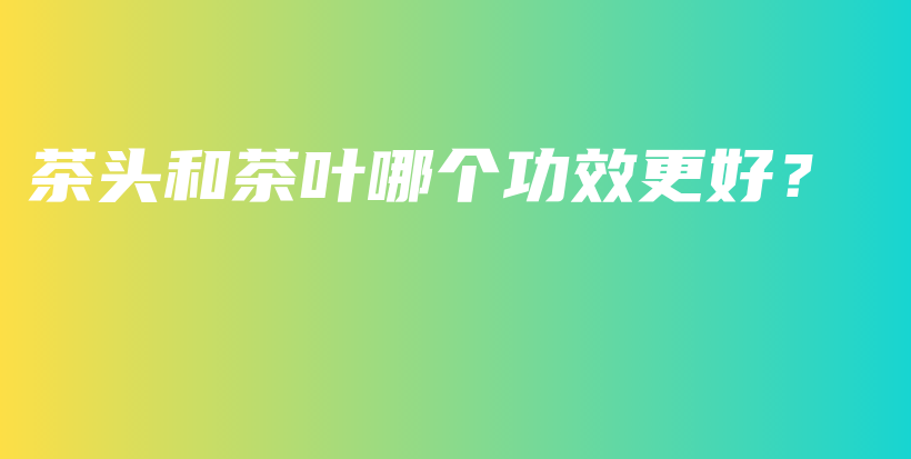 茶头和茶叶哪个功效更好？插图