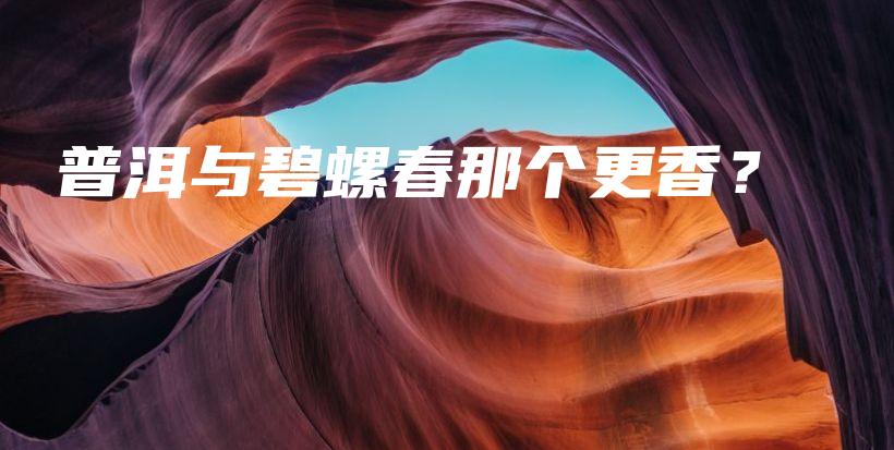 普洱与碧螺春那个更香？插图