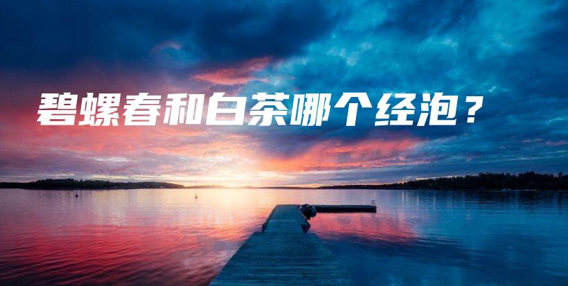 碧螺春和白茶哪个经泡？插图