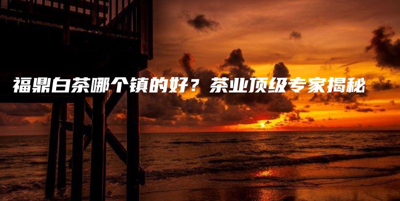 福鼎白茶哪个镇的好？茶业顶级专家揭秘插图