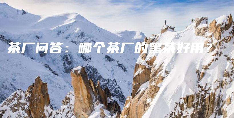 茶厂问答：哪个茶厂的黑茶好用？插图