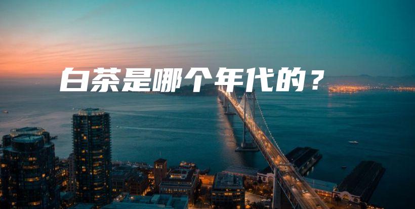 白茶是哪个年代的？插图