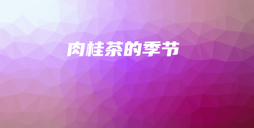 肉桂茶的季节插图