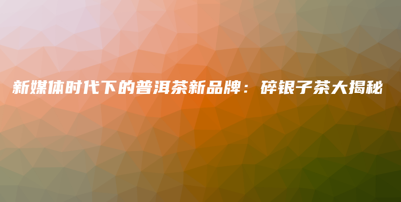 新媒体时代下的普洱茶新品牌:碎银子茶大揭秘插图 新媒体时代下的普洱茶新品牌:碎银子茶大揭秘插图