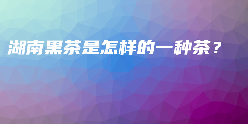 湖南黑茶是怎样的一种茶？插图