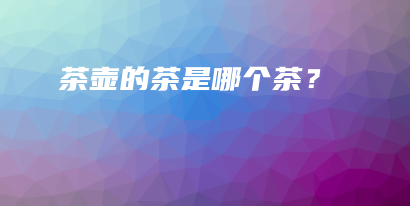 茶壶的茶是哪个茶？插图