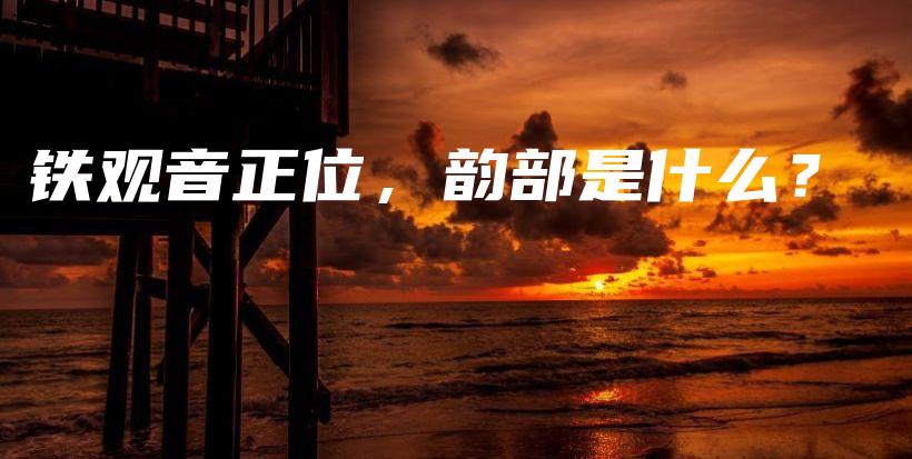 铁观音正位，韵部是什么？插图