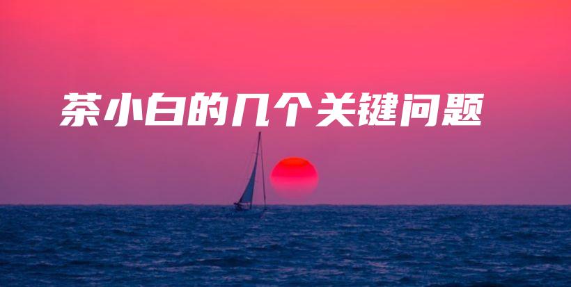 茶小白的几个关键问题插图 茶小白的几个关键问题插图