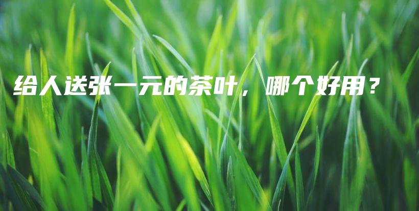 给人送张一元的茶叶，哪个好用？插图