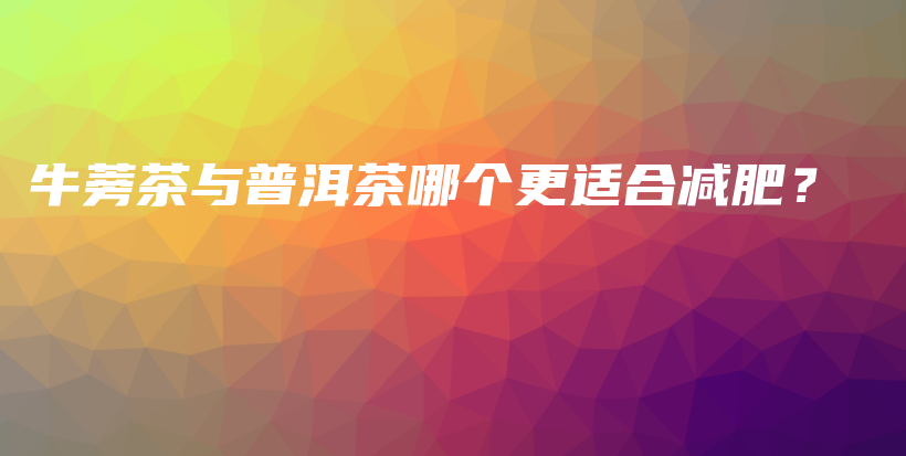 牛蒡茶与普洱茶哪个更适合减肥？插图
